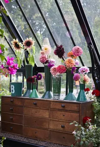 Dahlias exposés dans des vases de fleuriste vintage