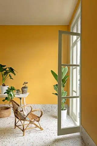 Gelber Raum mit Wänden in Parasol Pure Flat Emulsion Paint & Paper Library