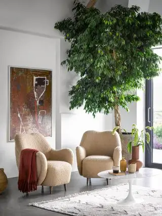 sala de estar blanca con sillones boucle beige, obras de arte, piso gris, árbol, alfombra, mesa de café