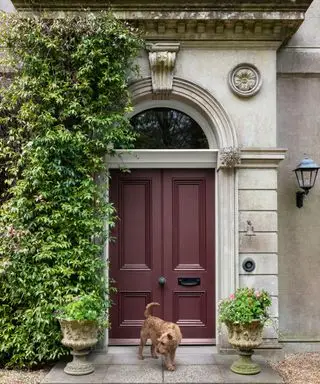 porte d'entrée peinte en marron rouge bordeaux