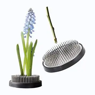 Ikebana blomsterfrø