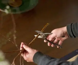 Nogen klipper en gren til et Ikeaba blomsterarrangement