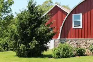 esterno della casa colorata