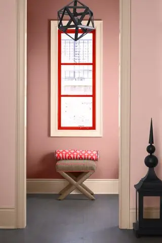 Différentes nuances de rose