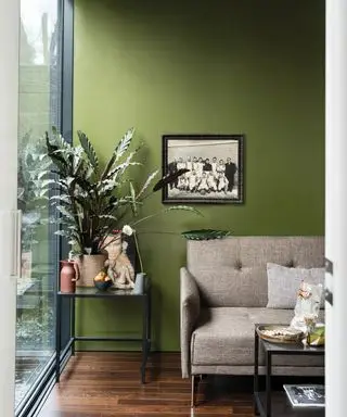 Murs peints en vert par Farrow & Ball