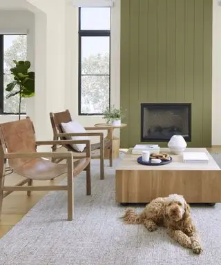 Une pièce avec des fauteuils marron, une cheminée vert olive et un chien assis par terre