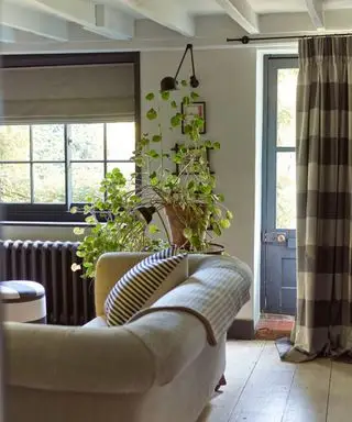 Sala de estar moderna con plantas de interior y una hermosa vista al exterior.