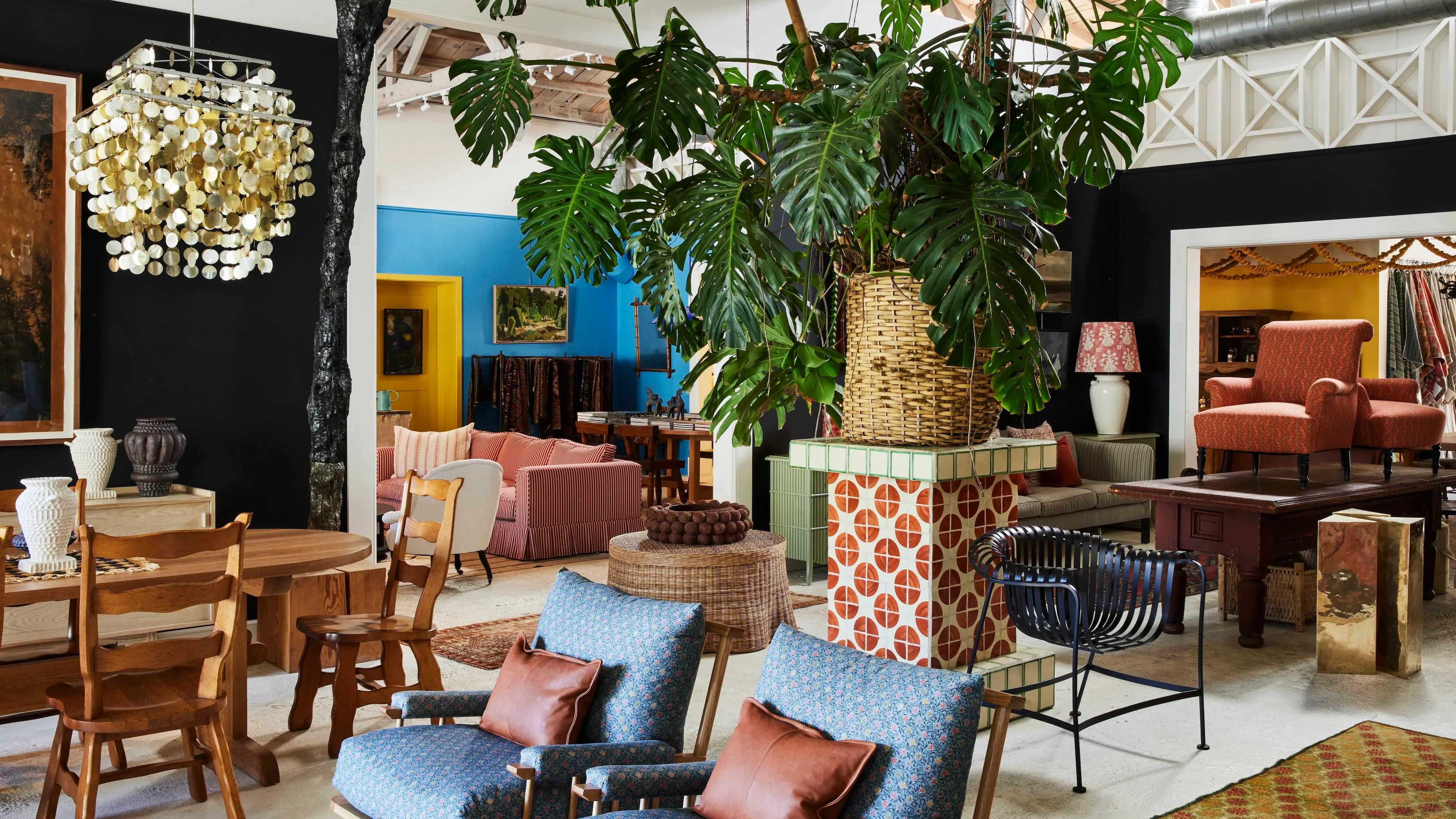 Pohled na obchod Nicky Kehoe v LA se směsí nábytku kolem velké listnaté rostliny pod střešním oknem.' loading='lazy' title=