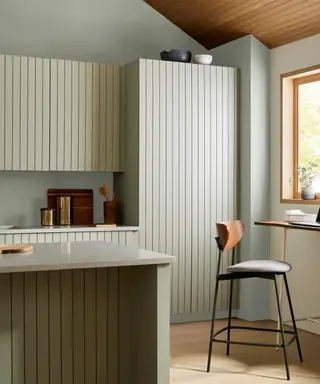 Kuchyňa maľovaná Evergreen Fog.