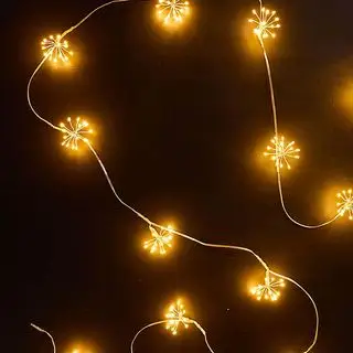 人類学のライト