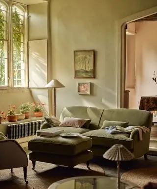 salon rustique avec un canapé vert