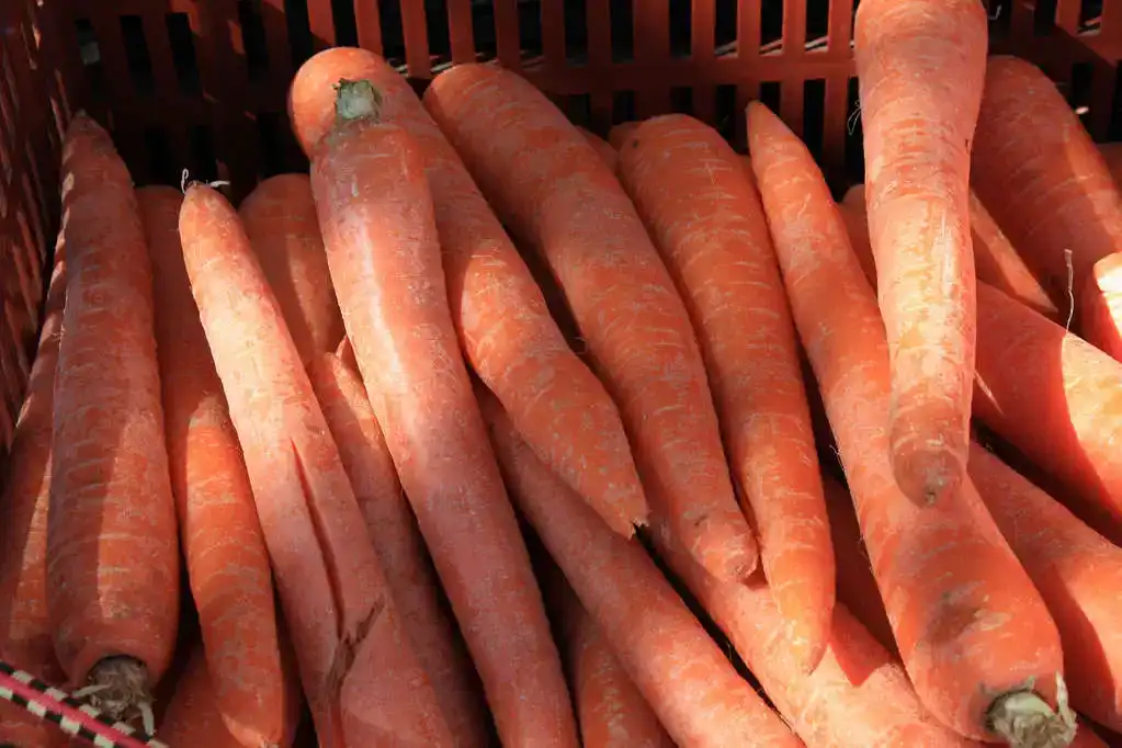 10 superfoods for kids - carrots