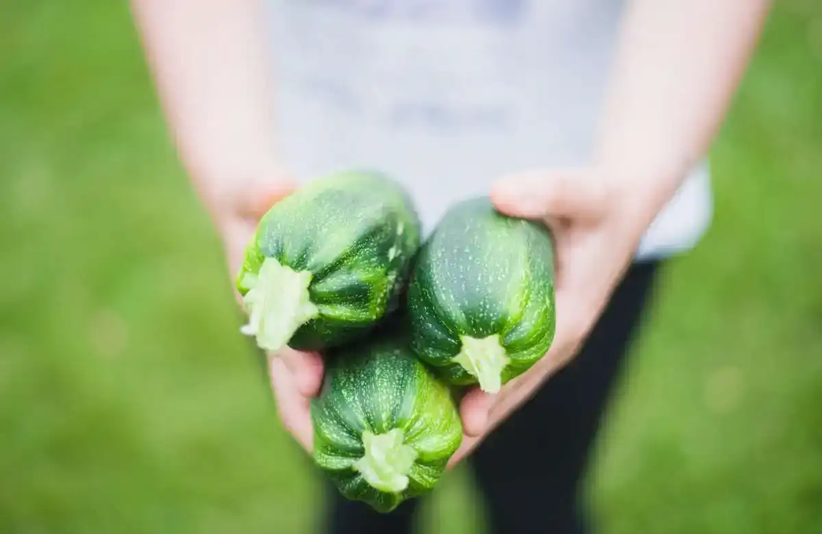 Child Holding Zucchini