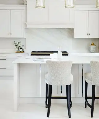 Idées de cuisine blanche avec armoires traditionnelles