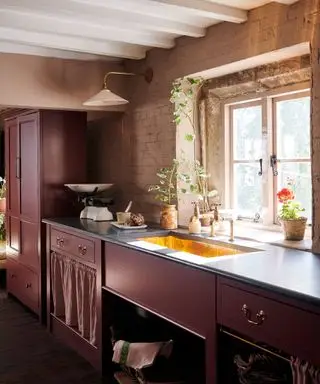 Quelles couleurs de murs fonctionnent le mieux avec des armoires de cuisine sombres ? 6 teintes approuvées par les designers à essayer