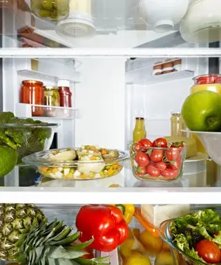 Conservazione del frigorifero