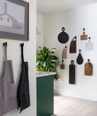 Décoration murale de planches à découper dans une cuisine contemporaine vert clair