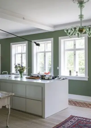 cuisine verte et blanche avec îlot de cuisine moderne blanc et mur végétal