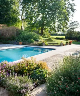 piscine avec plantation environnante et jardin en pente