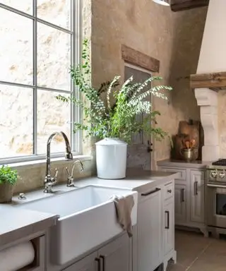 cuisine biologique moderne de Kara Childress avec des plantes d'intérieur