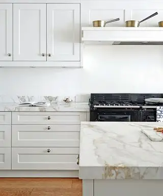 가스렌지 대신 무엇을 구할 수 있나요? 전문가들은 대안에 대해 조언합니다 – 전국적인 금지 조치가 있는 경우