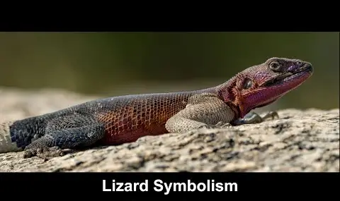 도마뱀 상징주의