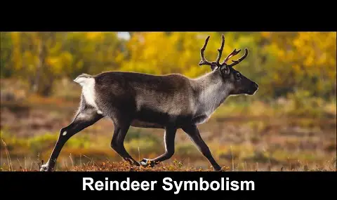 Rensdyrsymbolik