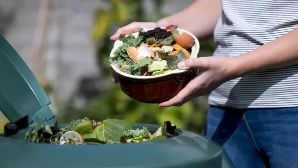 Hvorfor er det larver i huset mitt? Skadedyreksperter avslører kildene og årsakene