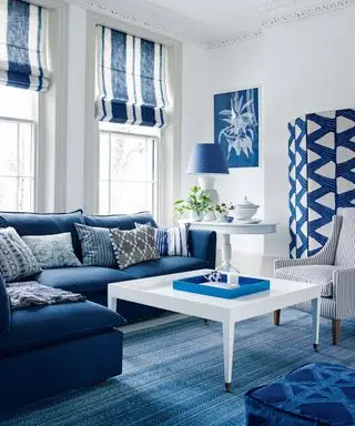 파란색과 흰색 색상 팔레트가 있는 작은 거실