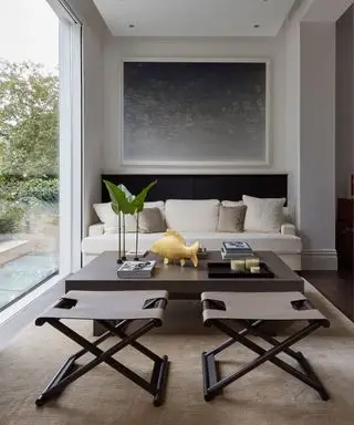 중성적인 색상으로 장식된 거실을 갖춘 작은 거실 아이디어의 예