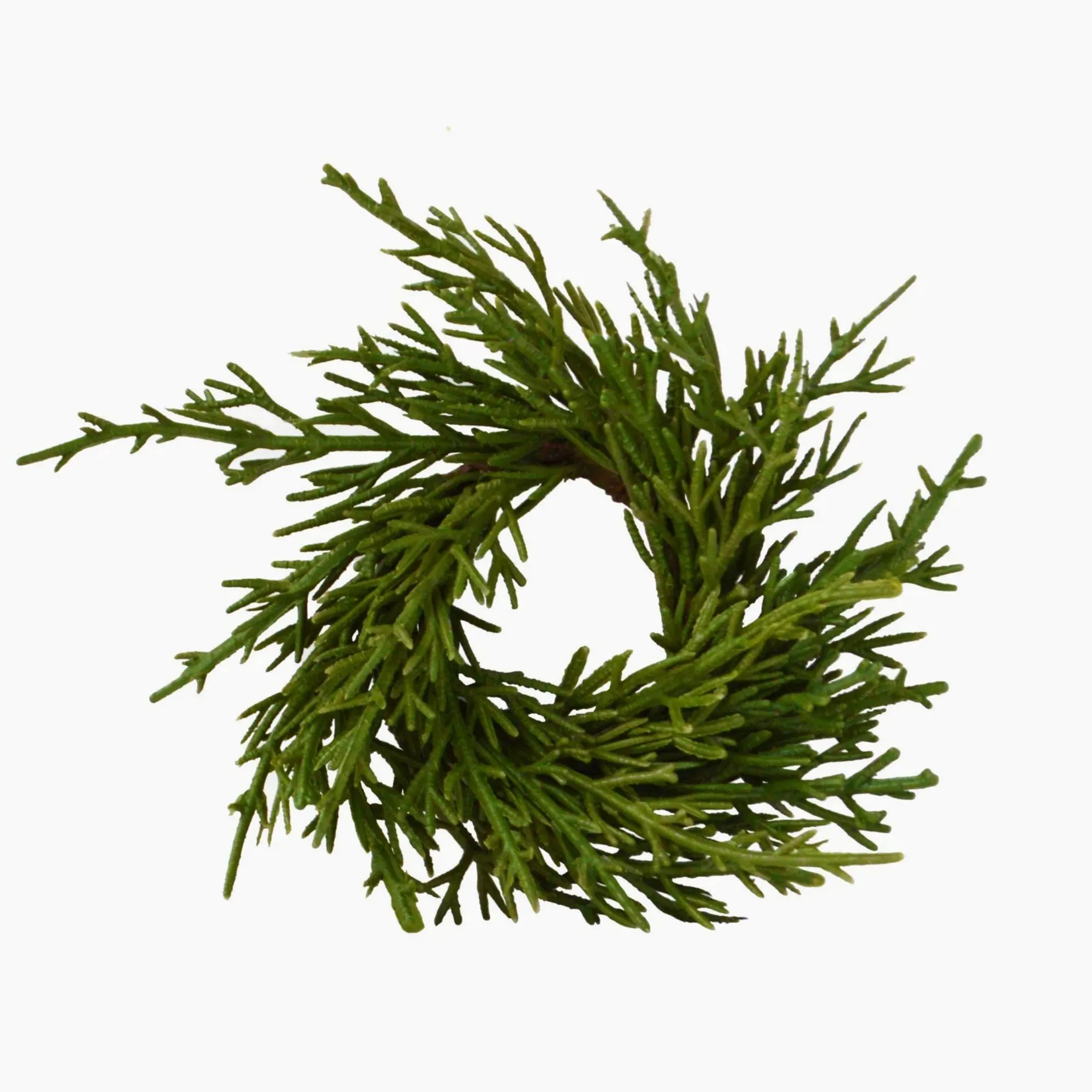 מזויף לטבעת מפיות' loading='lazy' title=