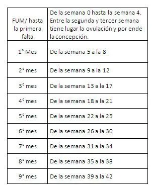 imagen cargad por usuario