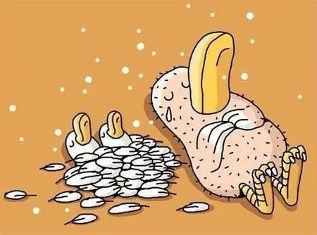 Imagen del comentario