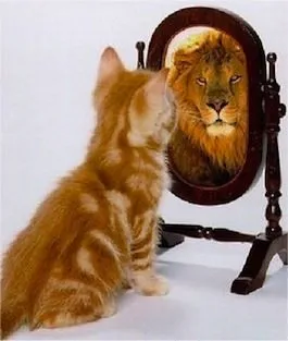 Imagen del comentario