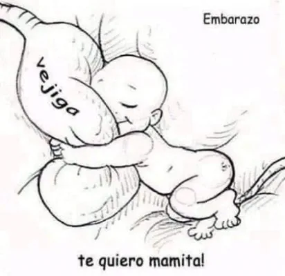 Imagen del comentario