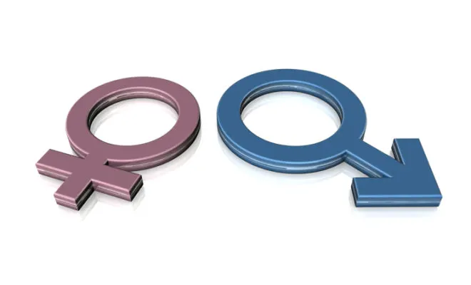 imagen cargad por usuario