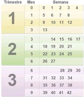 imagen cargad por usuario