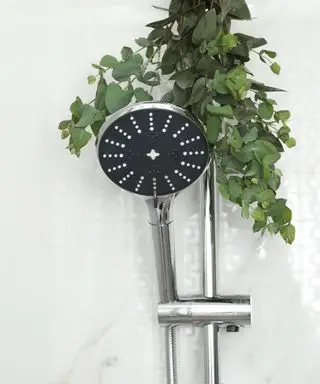 Eukalyptus i brusebad