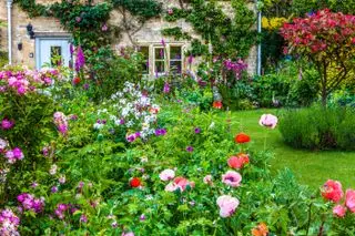 Come progettare un giardino cottage