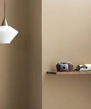 Peinture aux champignons sauvages Bejamin Moore