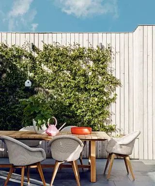 Puoi usare la vernice per interni all'esterno? I professionisti della verniciatura danno il loro verdetto di esperti