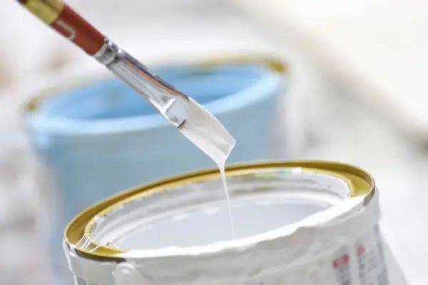 Eggshell vs farba matowa – jaka jest różnica?