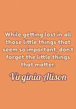 A quote by Virginia Alison.