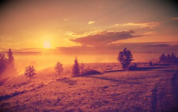 105 angrer sitater for å hjelpe deg med å gi slipp og gå videre med livet ditt