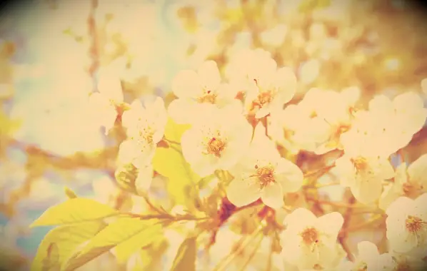 90 Inspirativní dubnové citace pro šťastný, pozitivní a motivovaný jarní měsíc