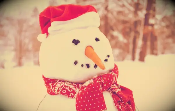 101 citazioni di Natale divertenti per i tuoi amici, familiari e Instagram (e meno stress)