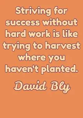 Success Quote by David Bly