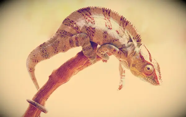 90 Accrochez-vous dans les citations pour renouveler votre espoir et votre énergie lorsque vous en avez besoin