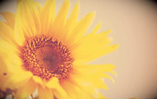 90 Freitagssegen und Bilder für Motivation und ein gutes Wochenende