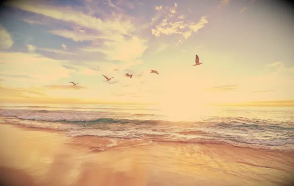 70 Feliz Dia dos Pais no céu Mensagens e citações